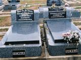 image of grave number 453129